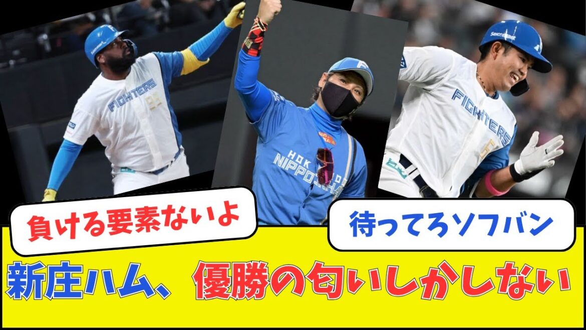 新庄ハム、優勝の匂いしかしない
