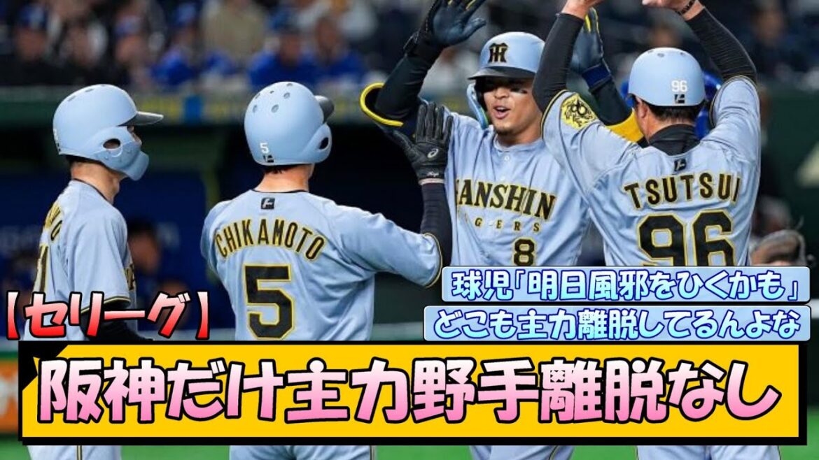 【セリーグ】阪神だけ主力野手離脱なし【なんJ/2ch/5ch/ネット 反応 まとめ/阪神タイガース/藤川球児/プロ野球】