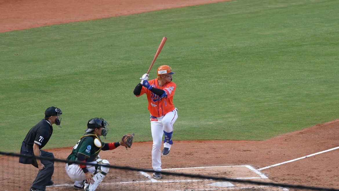 一堆人喊陽岱鋼全壘打 台鋼雄鷹 中華職棒 中職 CPBL 澄清湖棒球場