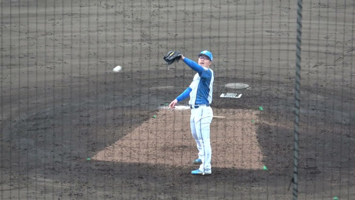 味全ドラゴンズ 3 - 12 北海道日本ハム  【13】生田目 翼 投手 vs【24】王順和   2025.2.24