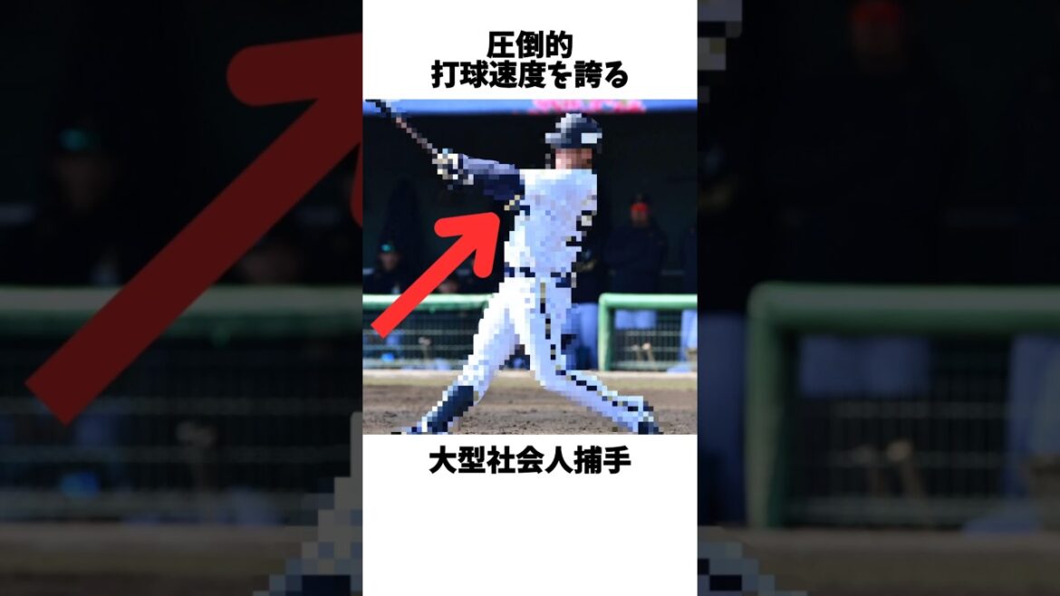 全12球団が喉から手が出るほど欲しい長打力が魅力の大型社会人捕手#プロ野球 #ドジャース#オリックスバファローズ