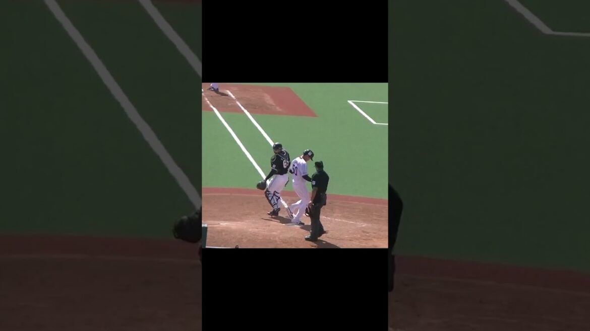 スワローズ フェリペ 犠牲フライで追加点【ヤクルトスワローズ対 千葉ロッテマリーンズ イースタン2024年4月19日】