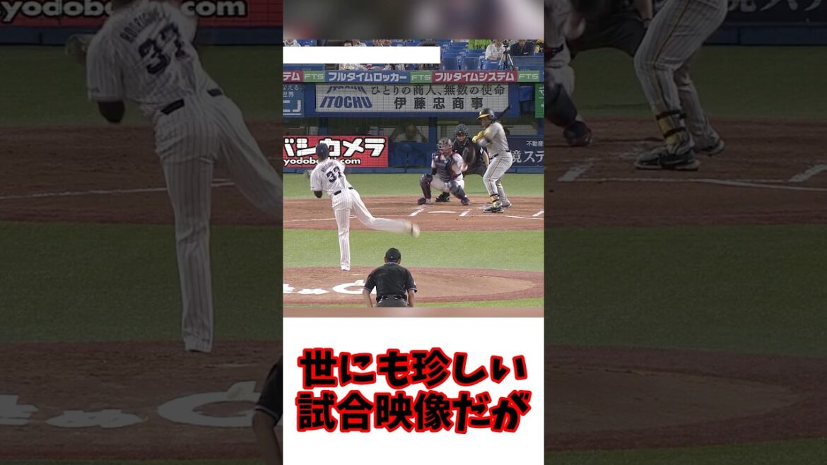 世にも珍しい試合映像…！消えた球はどこへ…？ #プロ野球 #ヤクルト #阪神