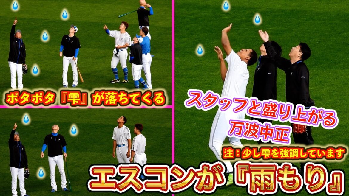 【20250322】エスコンが雨もり❗芝生が滑るので騒ぎになる😰 【20250322】エスコンが雨もり❗芝生が滑るので騒ぎになる😰