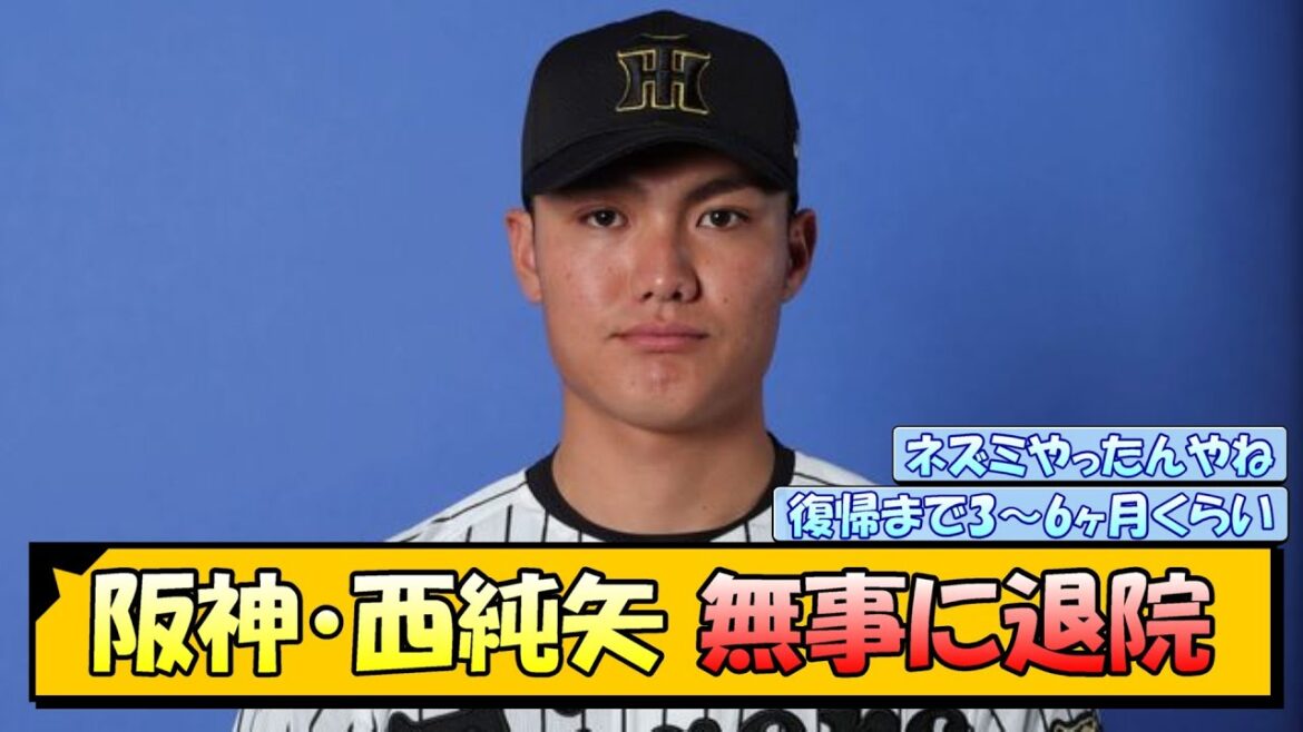 阪神・西純矢 無事に退院【なんJ/2ch/5ch/ネット 反応 まとめ/阪神タイガース/藤川球児】