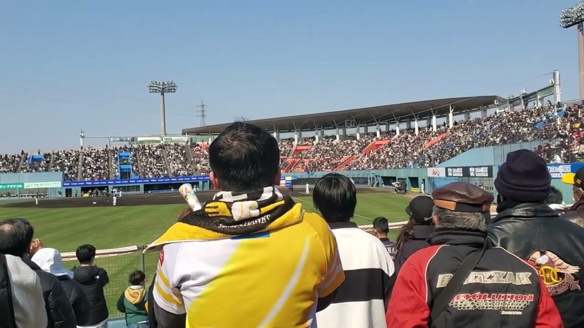 20250222 ついに実戦で初披露!【海野隆司 応援歌】 2回ウラ 福岡ソフトバンクホークス@宮崎市生目の杜運動公園アイビースタジアム・外野レフト オープン戦 20250222 ついに実戦で初披露!【海野隆司 応援歌】 2回ウラ 福岡ソフトバンクホークス@宮崎市生目の杜運動公園アイビースタジアム・外野レフト オープン戦