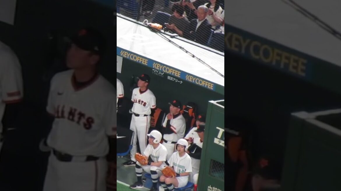 オスナに先制スリーラン出た時のベンチの表情変えない阿部監督やボールボーイやボールガール2024年5月1日 読売ジャイアンツ 対 ヤクルトスワローズ