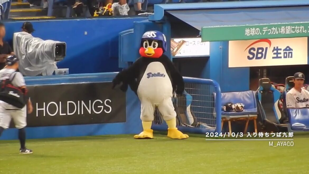 【2024神宮最終戦】入り待ちつば九郎