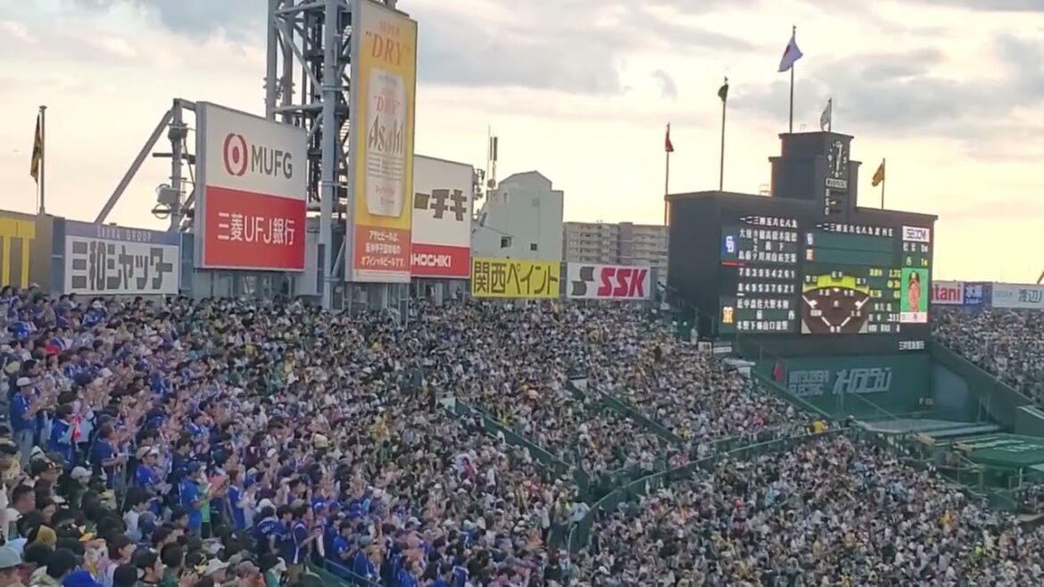 20240728　大島ﾌﾟﾛが1番へ！【大島洋平 応援歌】　1回表　中日ﾄﾞﾗｺﾞﾝｽﾞ@阪神甲子園球場･ﾚﾌﾄ外野 ｳﾙ虎の夏2024