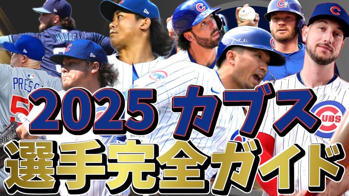 2025年 シカゴ・カブス 選手完全ガイド【聞き流し・作業用・睡眠用】#野球 #mlb #メジャーリーグ #cubs #カブス