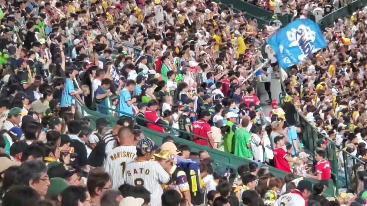 20240915　東京ﾔｸﾙﾄｽﾜﾛｰｽﾞ　5回表　攻撃前の2連｢君こそﾋｰﾛｰ(ｻﾋﾞ)｣@阪神甲子園球場･ﾚﾌﾄ外野