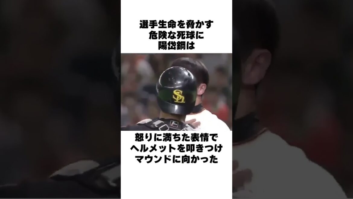 「頭部死球を受けてブチギレ」陽岱鋼を止めた坂本勇人についての雑学#野球 #野球雑学 #読売ジャイアンツ