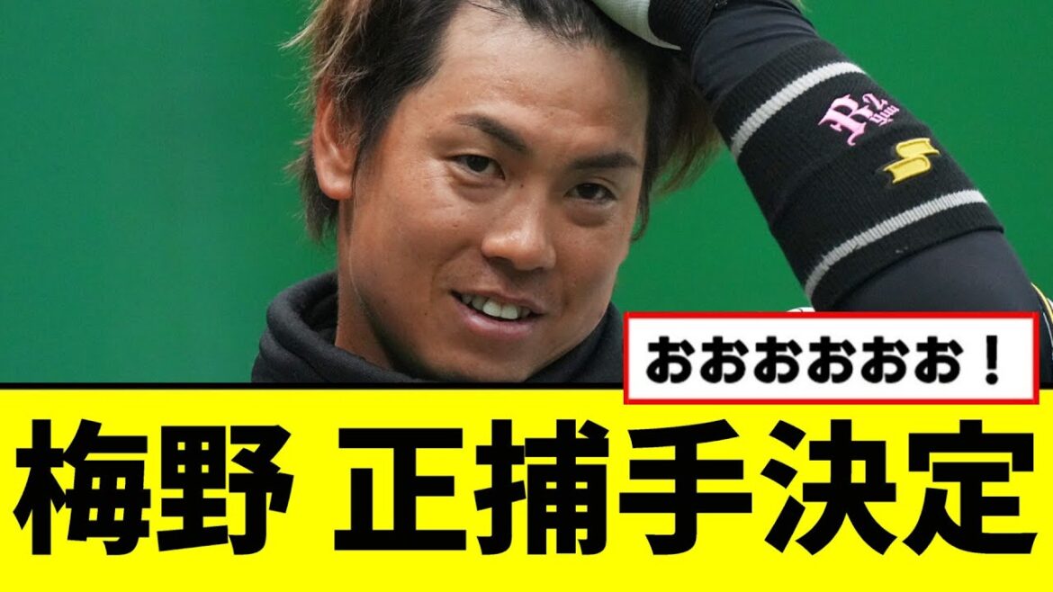 【阪神】梅野が正捕手決定へwwwww