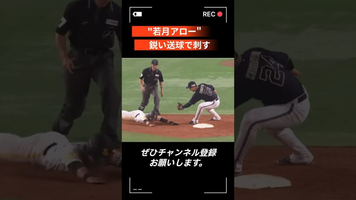 【プロ野球】オリックス・若月健矢『体を張り本塁死守…!! 盗塁阻止＆好守まとめ2024』 #プロ野球 #オリックスバファローズ #shorts