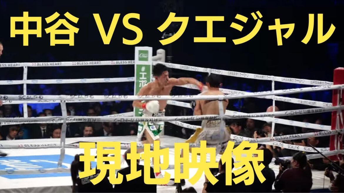 中谷潤人 vs ダビド･クエジャル 現地映像 WBC世界バンタム級タイトルマッチ Junto Nakartani vs David Cuellar