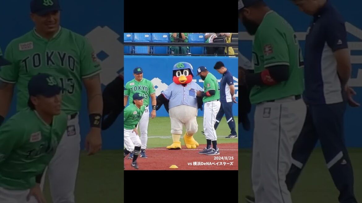 24/8/25 つば九郎とサンタナ #Shorts