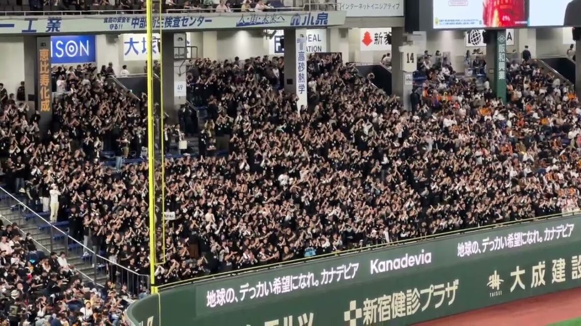 千葉ロッテマリーンズ 髙部瑛斗 応援歌 東京ドーム