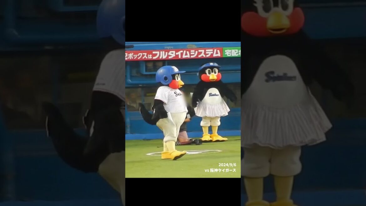 24/9/6 高津監督に報告するつば九郎 #Shorts