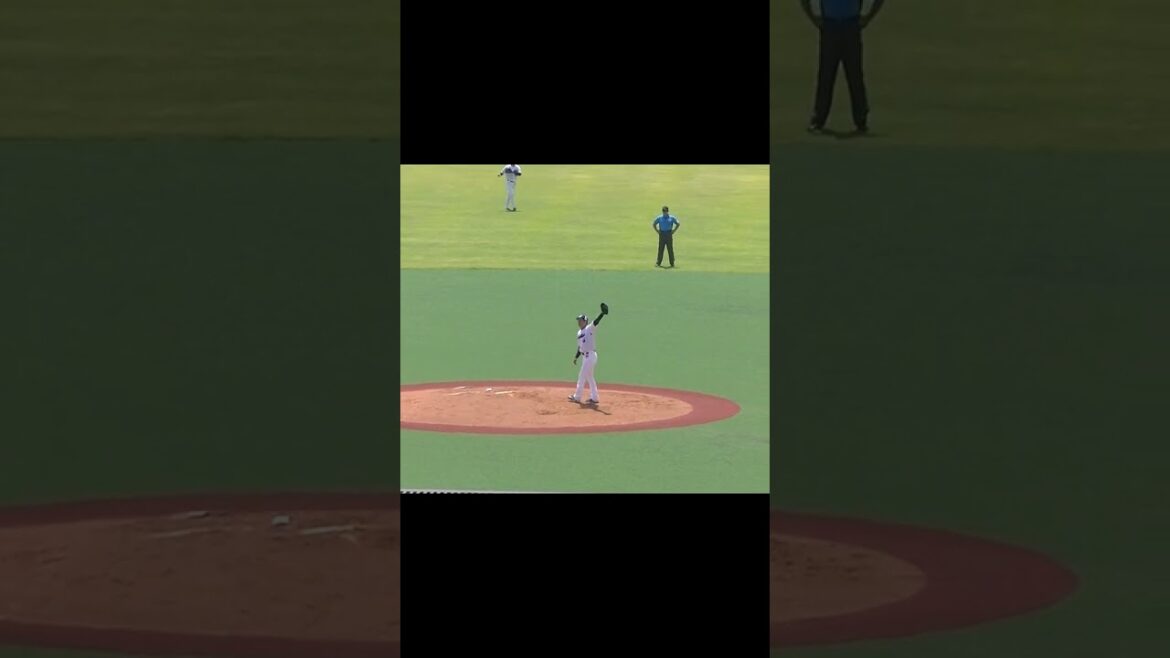 【野球選手フォーム集】ヤクルト原樹理の投球フォーム（2024年6月14日 ヤクルトスワローズ対 日本ハムファイターズ）