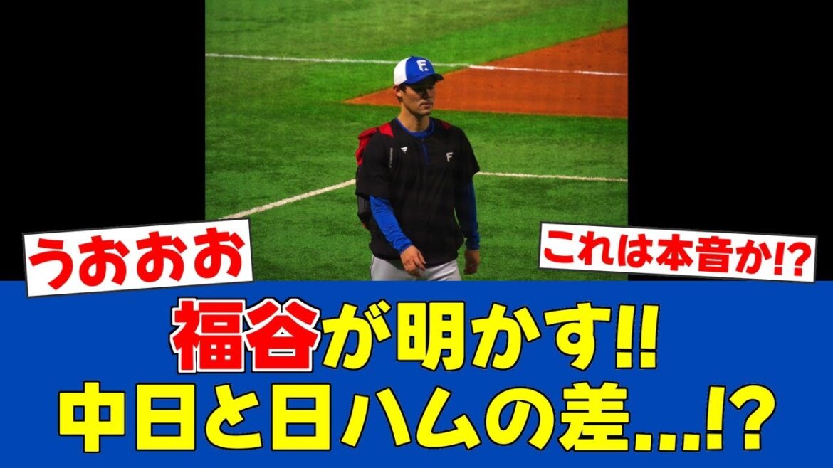 【暴露】福谷が語った中日と日ハムの「決定的な違い」とは【日ハムファンの反応】【F速報】