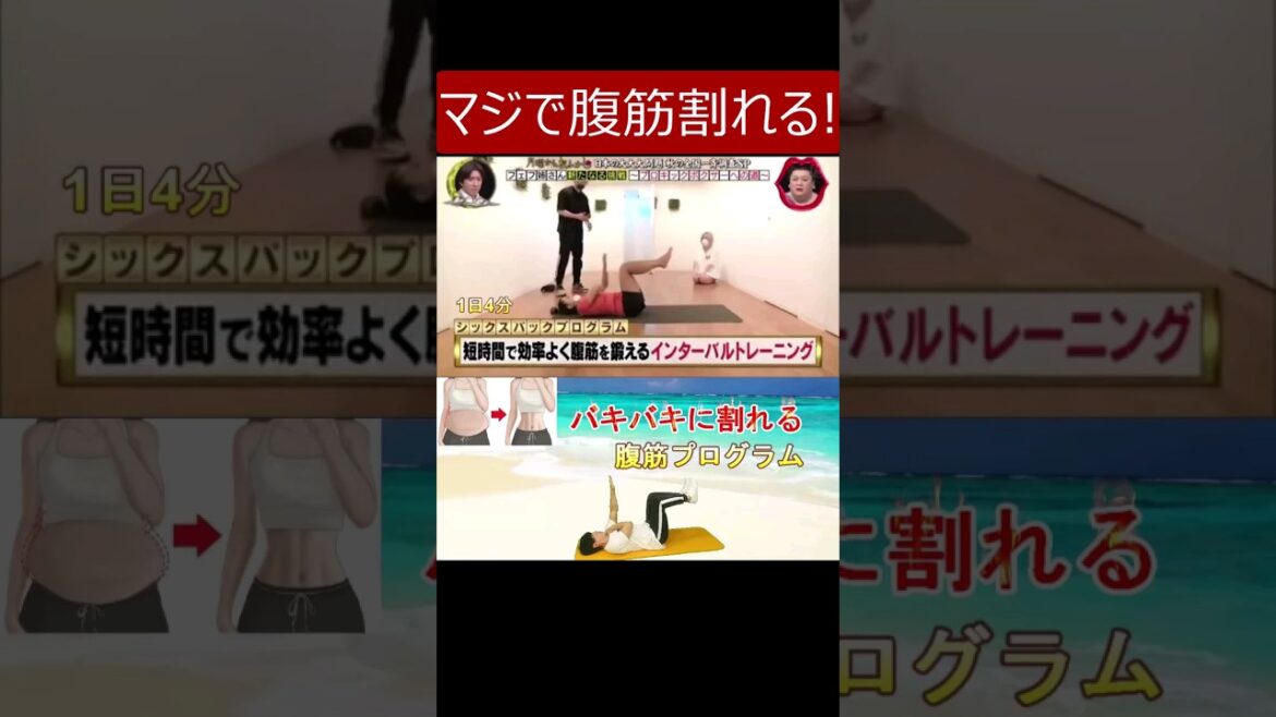 【月曜から夜ふかしでフェフ姉さんが挑戦の腹筋プログラム】腹筋割れた人や下腹や横腹もスッキリした人が続出の腹筋トレーニング(HIITトレーニング) #シックスパック #腹筋チャレンジ #腹筋トレーニング