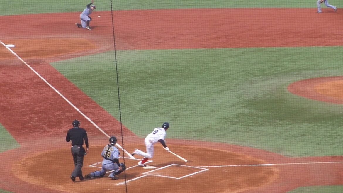 阪神 小幡竜平 ナイスプレー　オープン戦 ヤクルト vs 阪神　2025年3月18日(火)　神宮球場