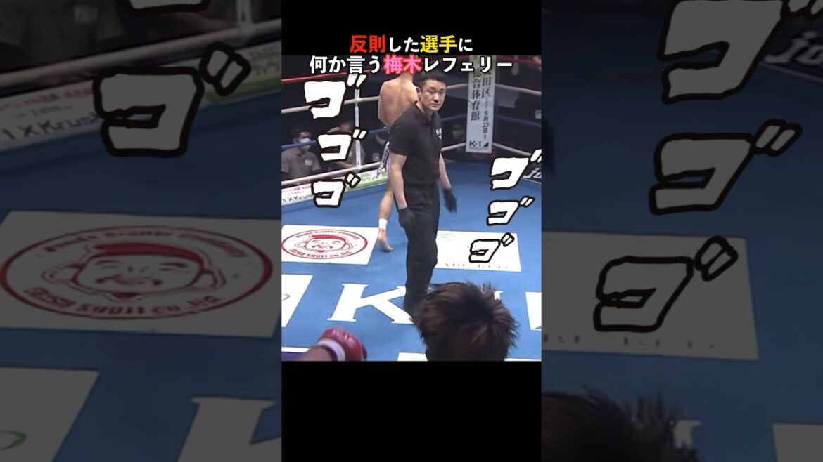 反則した選手に梅木レフェリーが放った言葉 #k1 #キックボクシング #rizin #ufc