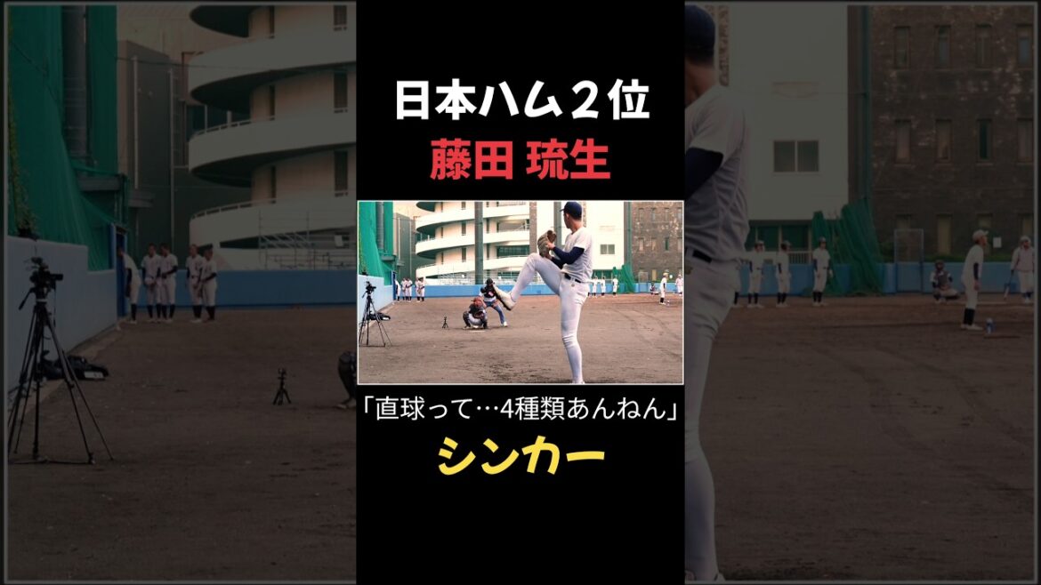 直球って…4種類あんねん。日本ハム２位が逸材すぎた
