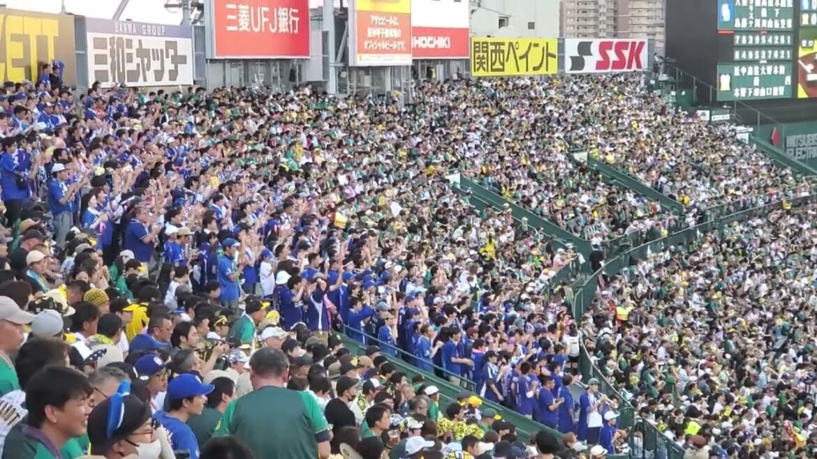 20240728　球は伸び悩む…【高橋周平 応援歌】　1回表　中日ﾄﾞﾗｺﾞﾝｽﾞ@阪神甲子園球場･ﾚﾌﾄ外野 ｳﾙ虎の夏2024