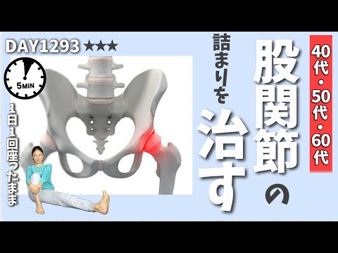 【股関節の詰まり改善】太ももの付け根が引き締まって脚が疲れにくくなるエクササイズ|DAY1293 5 Minute Hip Joint Mobility Workout|No equipment 【股関節の詰まり改善】太ももの付け根が引き締まって脚が疲れにくくなるエクササイズ|DAY1293 5 Minute Hip Joint Mobility Workout|No equipment