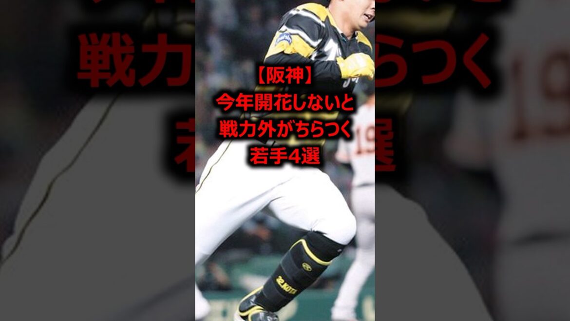 【阪神】今年開花しないと戦力外がちらつく若手有望株4選 #プロ野球 #阪神タイガース