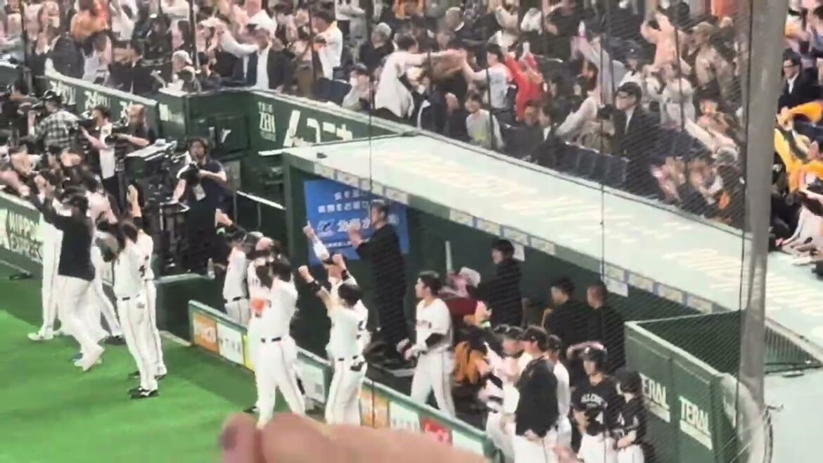 起死回生！吉川尚輝の同点タイムリー！