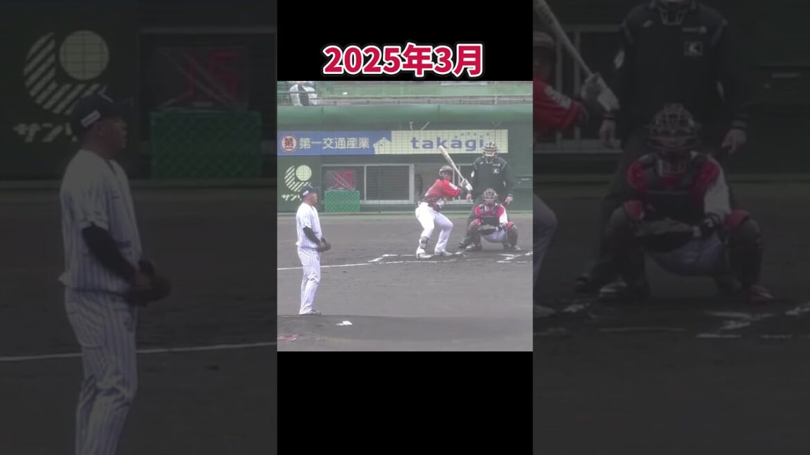 【明らかな成長】岡田子騰1年間の進化。  #shorts #baseball #野球 #batting #バッティング #野球のミカタ #打撃探究部屋