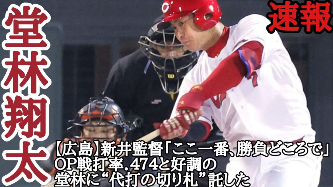 堂林翔太 毎日投稿！スポーツ速報！【広島】新井監督「ここ一番、勝負どころで」ＯＰ戦打率．４７４と好調の堂林に“代打の切り札”託した