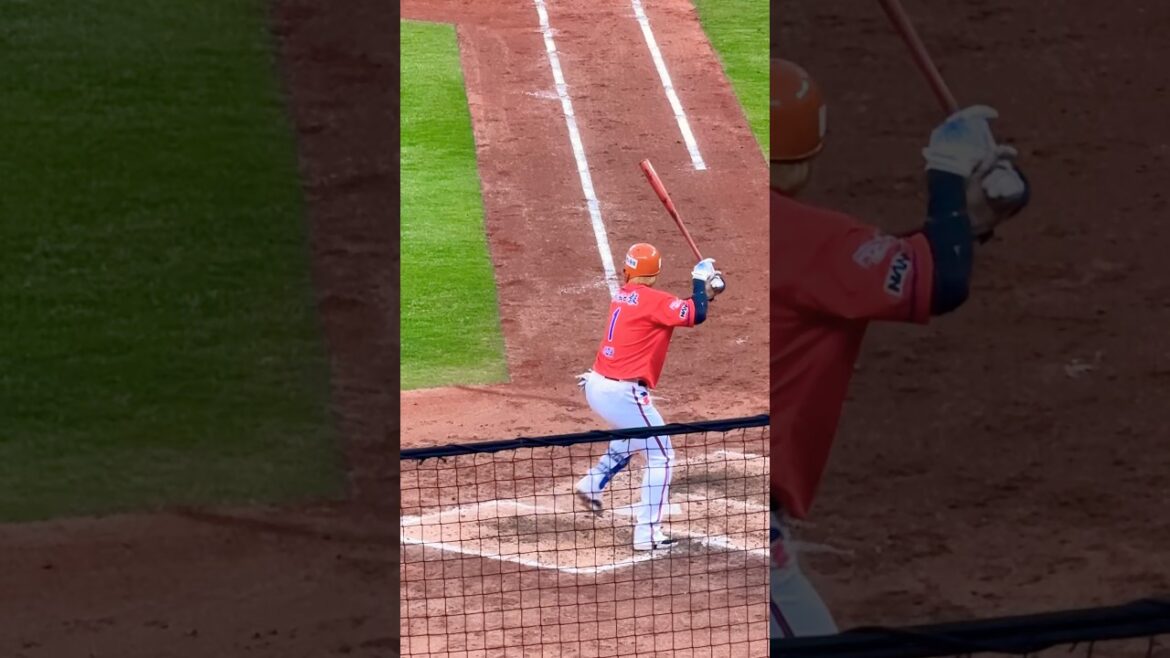 陽岱鋼打擊 新潟天鵝之皇 #棒球 #陽岱鋼#野球