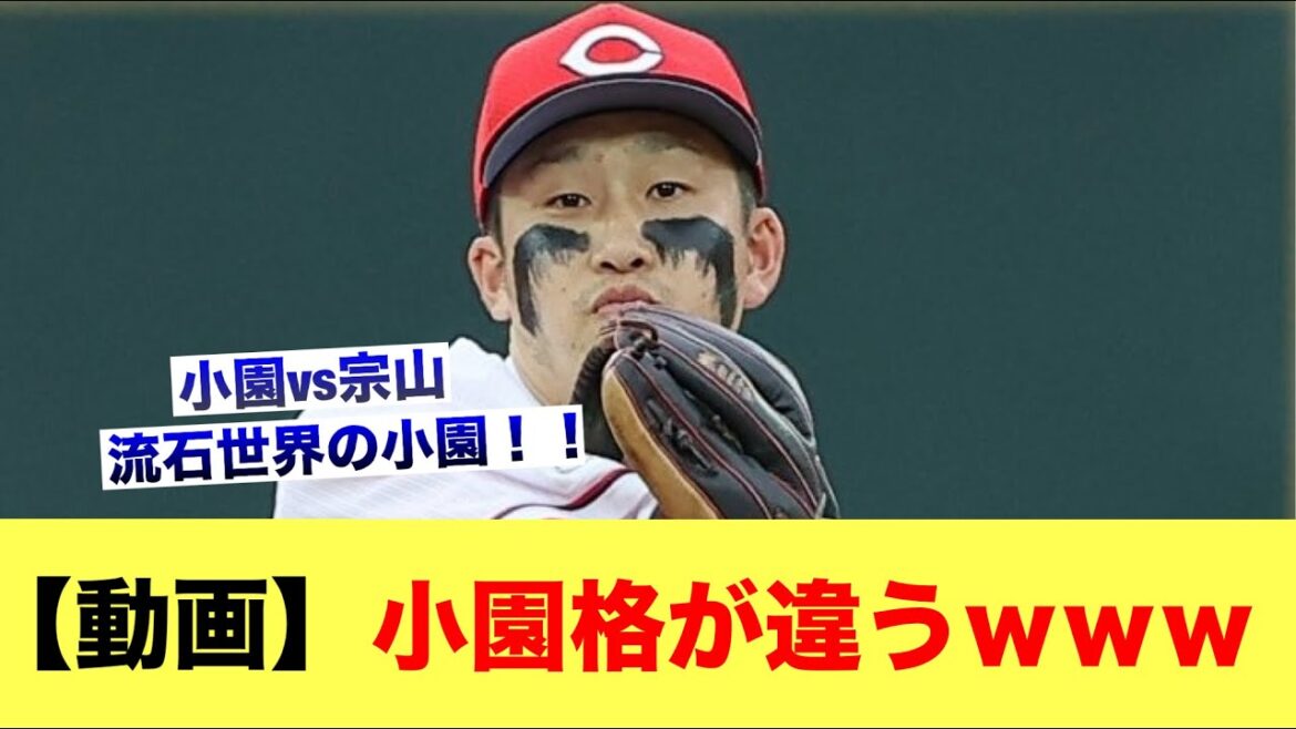 【動画】小園格が違うwww【広島カープスレ】