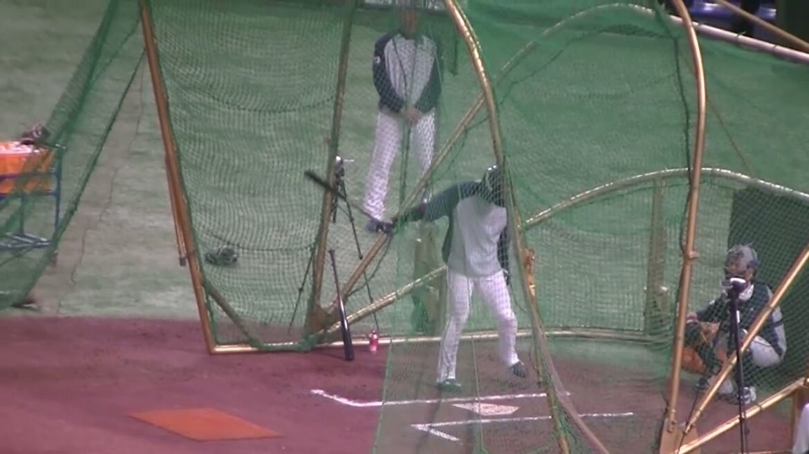スワローズ武岡龍世のフリーバッティング 2025年3月2日 オープン戦 東京ドーム