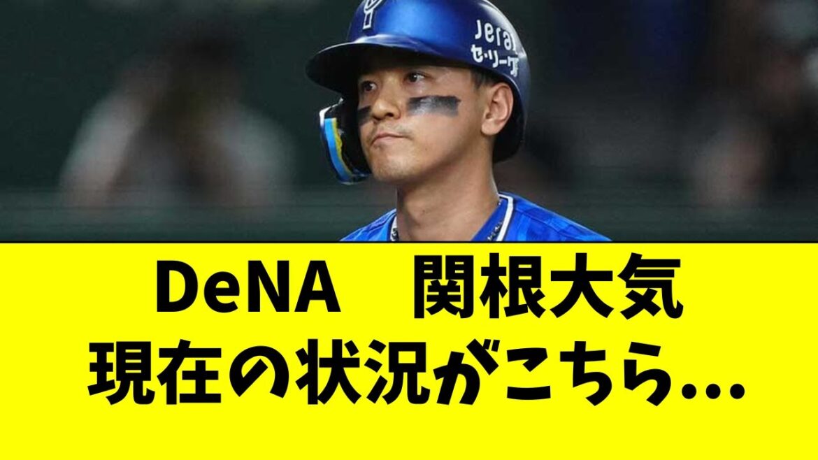 【DeNA】関根大気の現在の状況がこちら・・・