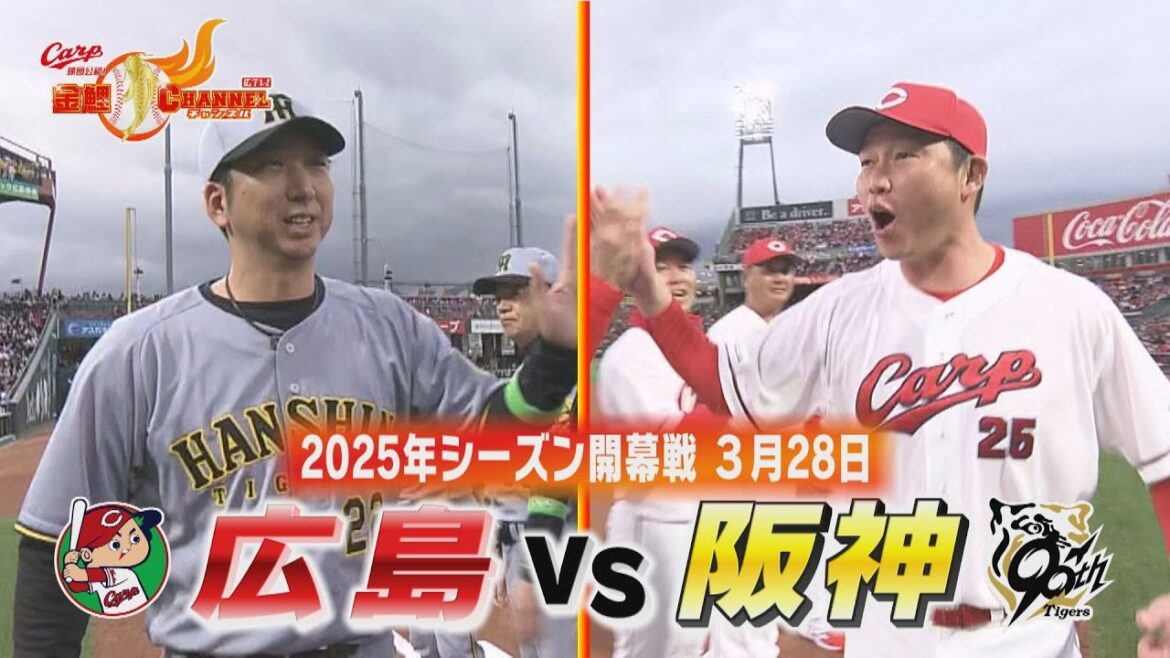【25年シーズン開幕！】３年目の新井カープが新生・藤川阪神をホームで迎え撃つ【カープ公認】金鯉チャンネル /広テレ！