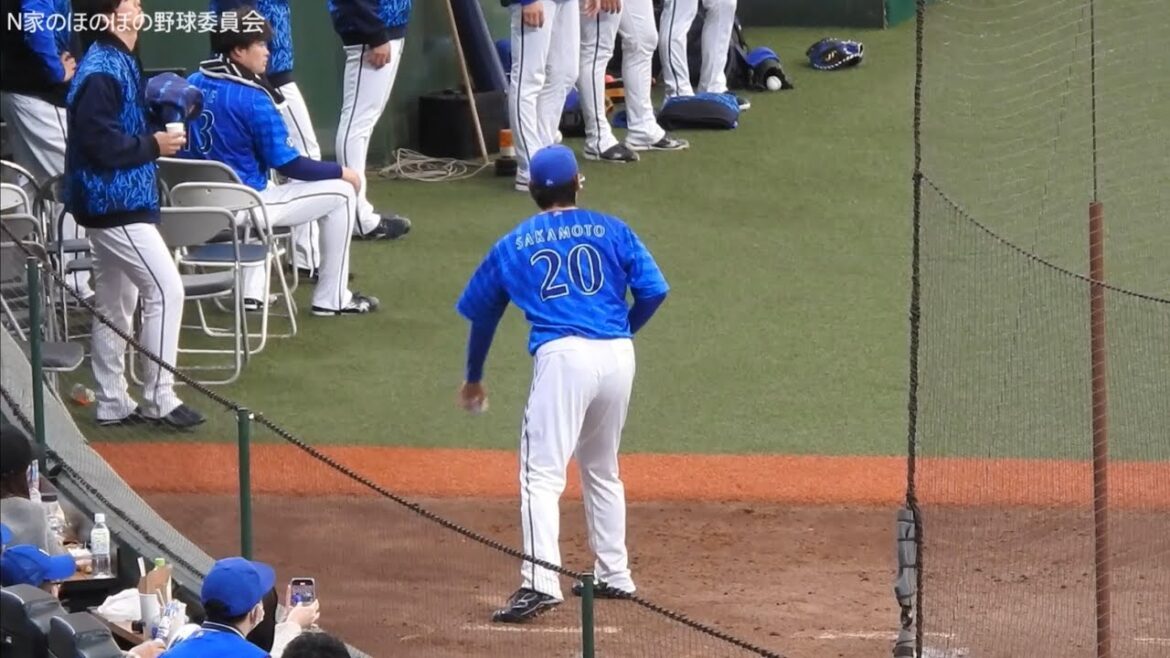 坂本裕哉 ブルペン ピッチングフォーム スロー再生あり2025/03/23西武対横浜DeNAオープン戦【埼玉西武ライオンズ】【横浜DeNAベイスターズ】【ベルーナドーム】 坂本裕哉 ブルペン ピッチングフォーム スロー再生あり2025/03/23西武対横浜DeNAオープン戦【埼玉西武ライオンズ】【横浜DeNAベイスターズ】【ベルーナドーム】