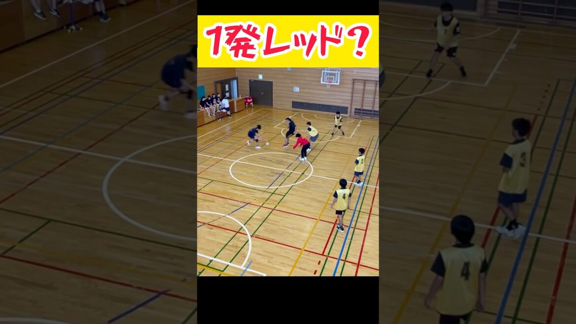 これはやばい退場や#ハンドボール #バレーボール #スーパープレイ #バスケ #野球 #handball