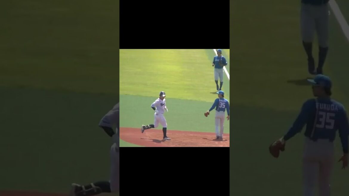 ヤクルト増田珠レフトへヒットを放つ（2024年6月14日 ヤクルトスワローズ対 日本ハムファイターズ）