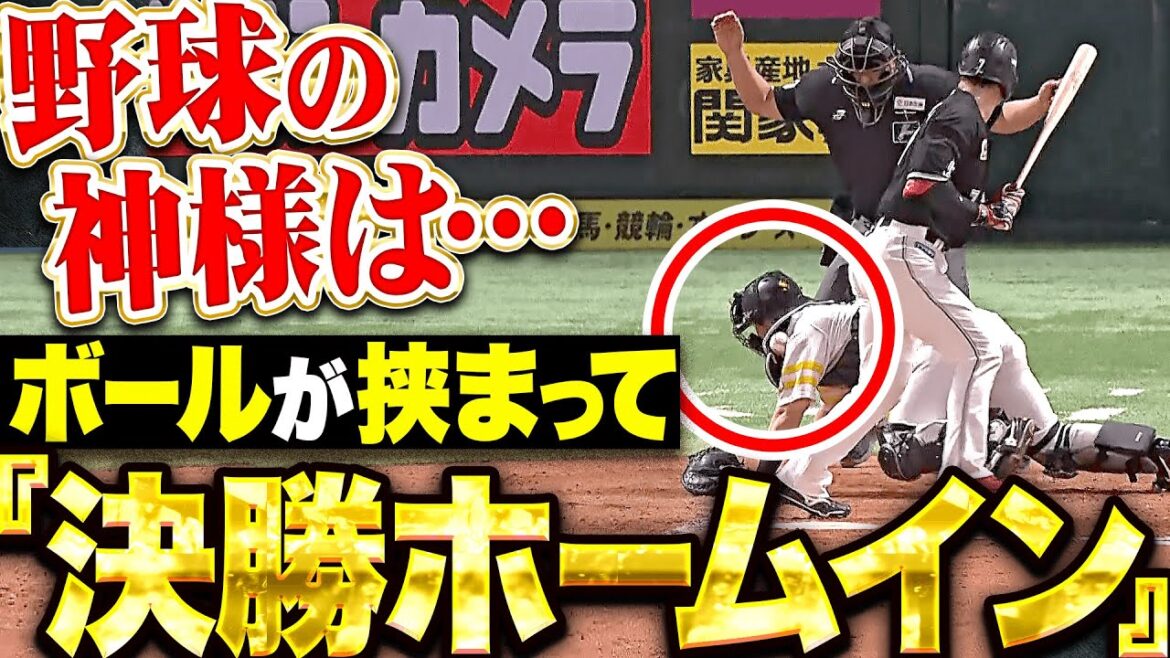 Pacific-League: 【野球の神様は…】絶対に予測不可能『入った!入った!入った!…ボールが挟まって決勝ホームイン!』 【野球の神様は…】絶対に予測不可能『入った!入った!入った!…ボールが挟まって決勝ホームイン!』