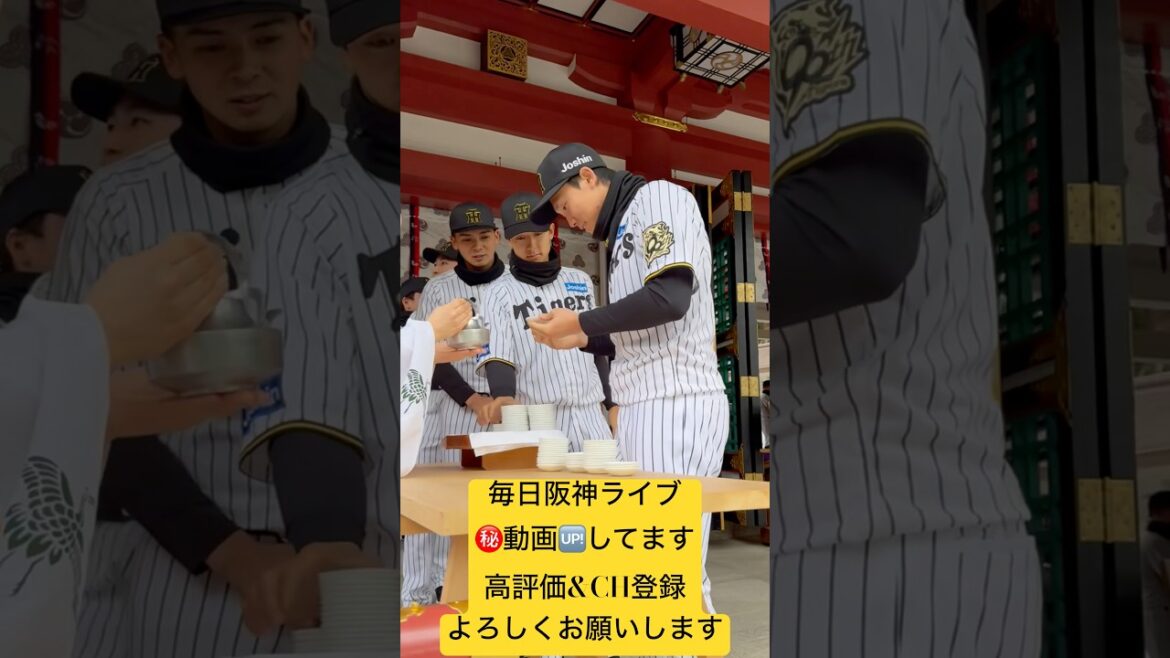 お神酒をいただく阪神選手📸阪神タイガース2025必勝祈願in西宮神社⛩️阪神タイガース #阪神 #プロ野球 #小幡竜平　#湯浅京己 #井上広大 #村上頌樹