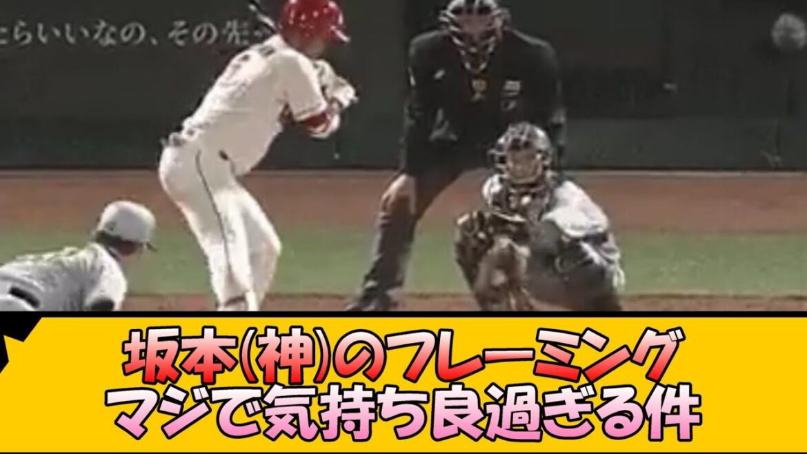 阪神・坂本のフレーミング マジで気持ち良過ぎる件【なんJ/2ch/5ch/ネット 反応 まとめ/阪神タイガース/藤川球児/プロ野球】