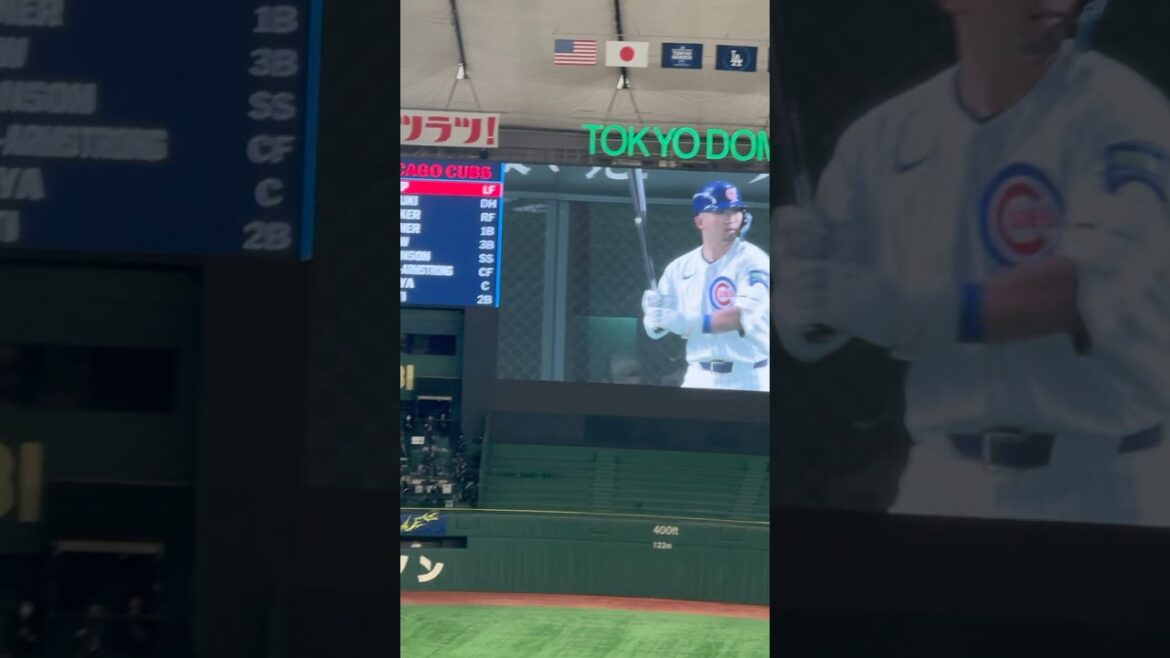 鈴木誠也の日本凱旋を拍手で迎えるファン 鈴木誠也の日本凱旋を拍手で迎えるファン