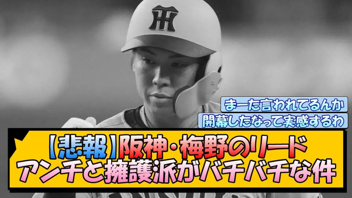 【悲報】阪神・梅野のリード アンチと擁護派がバチバチな件【なんJ/2ch/5ch/ネット 反応 まとめ/阪神タイガース/藤川球児/プロ野球】