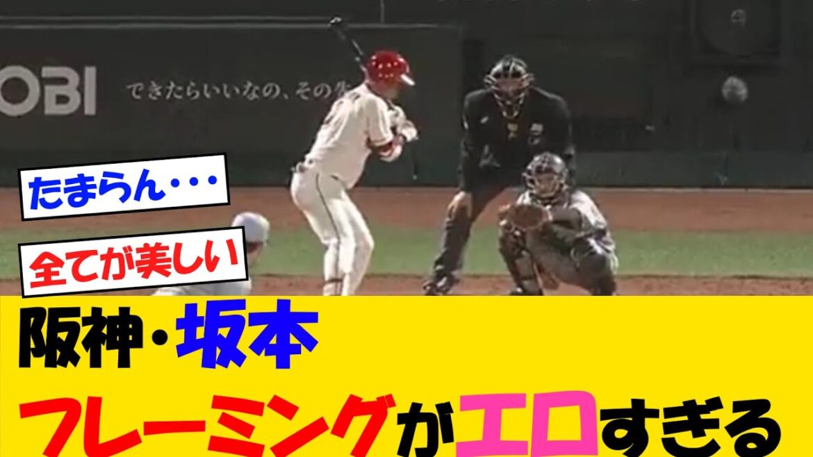 阪神・坂本 フレーミングがすごすぎるｗｗｗ【野球情報】【2ch 5ch】【なんJ なんG反応】【野球スレ】