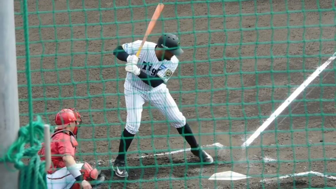 【仕事が早い応援団】前日の藤川監督のコメントによりラモン→モーチョにコールが変更