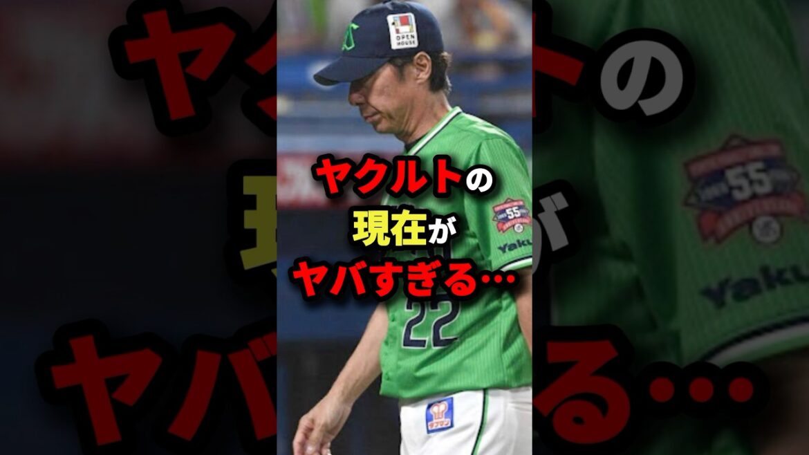 ヤクルトの現在ががヤバすぎる…#プロ野球 #shorts